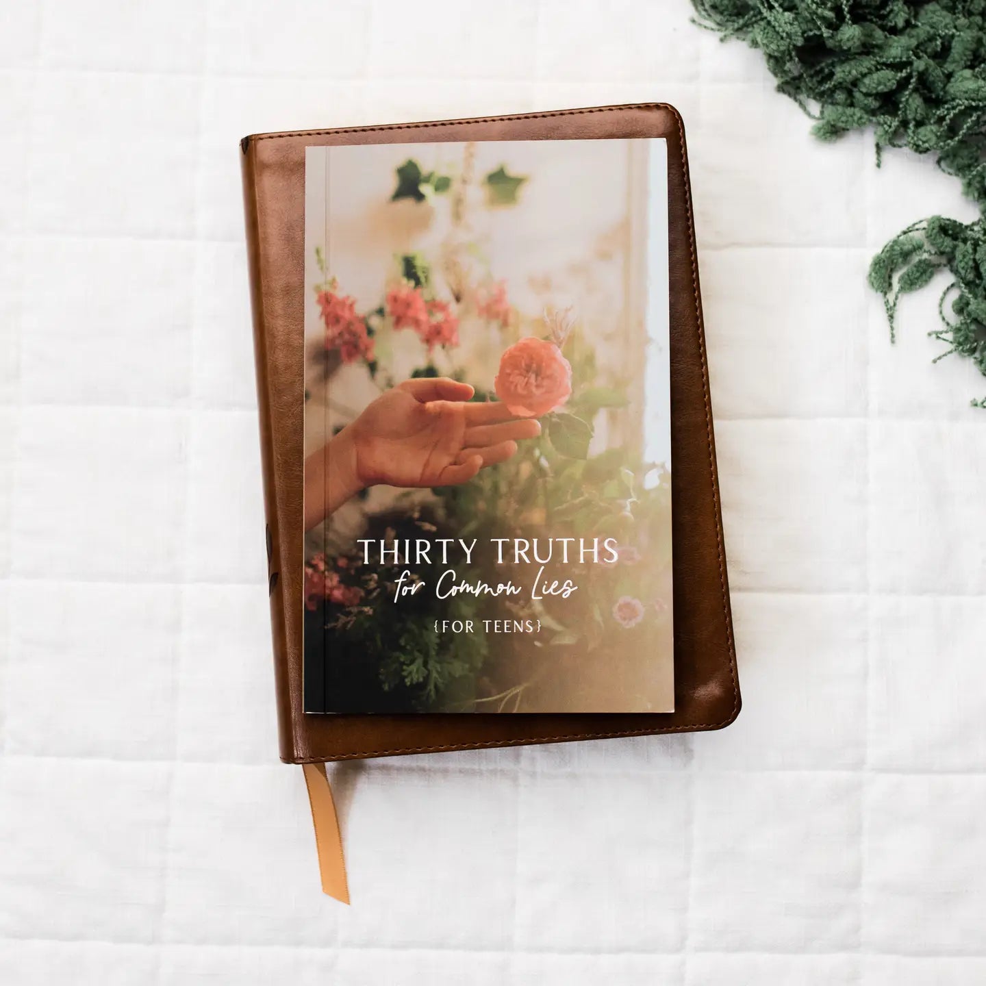 Thirty Truths For Common Lies For Teens Booklet