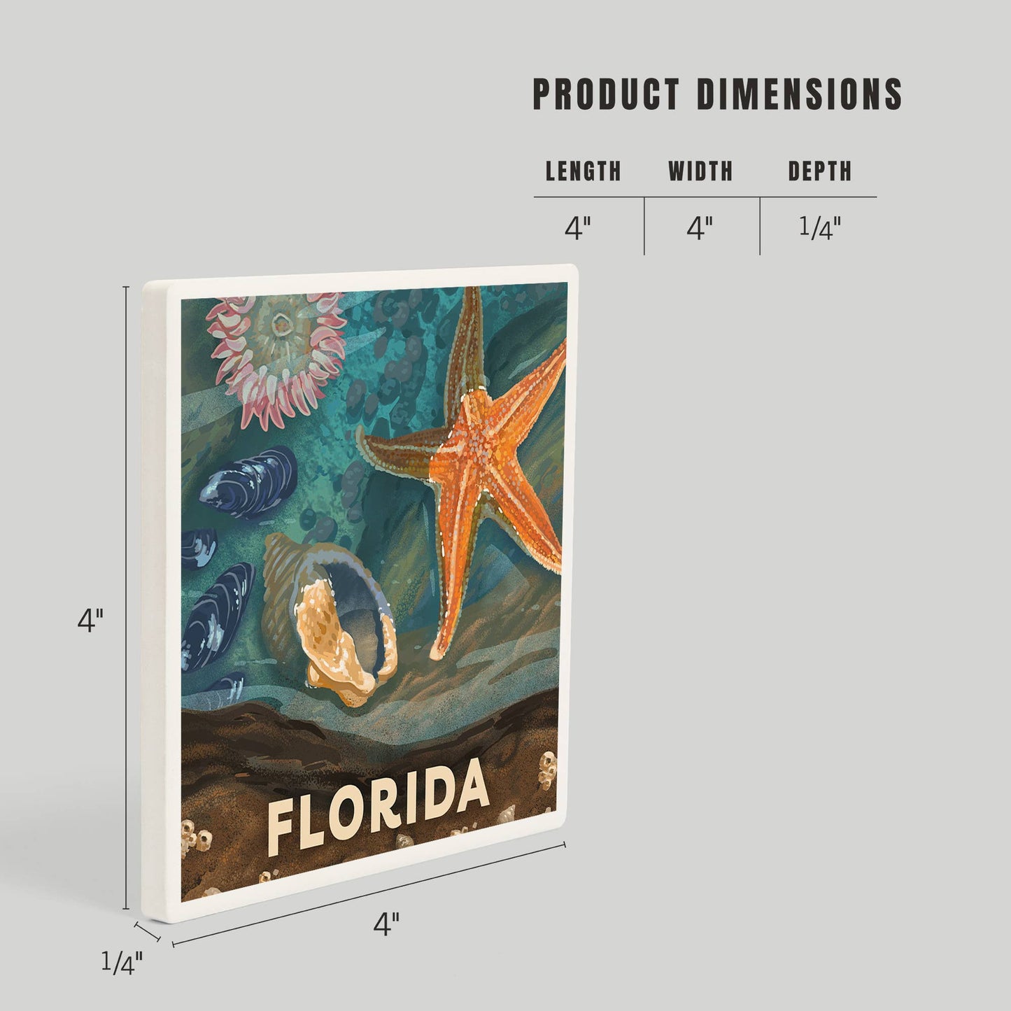 CERAMIC COASTER Florida, Painterly, Starfish & Shells