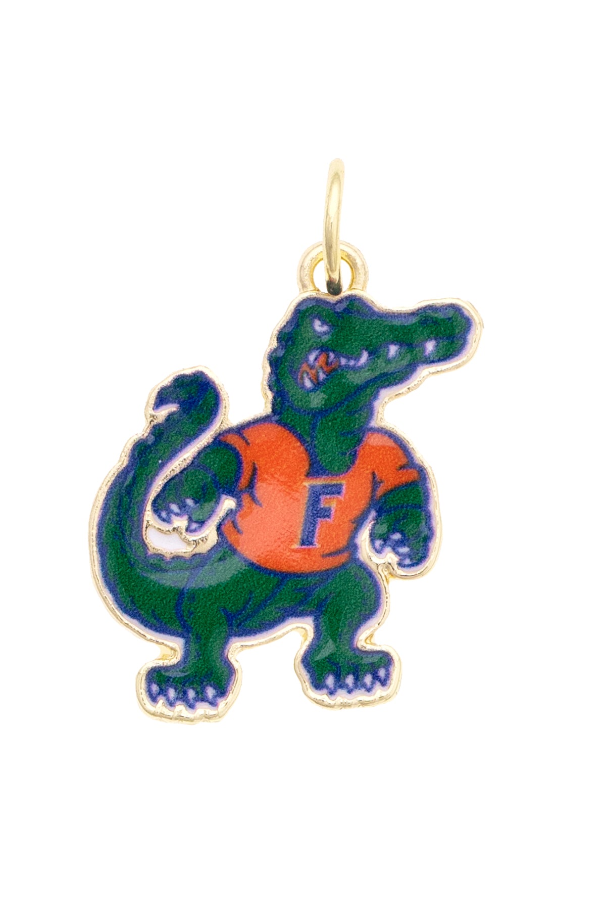 Canvas Style Charms