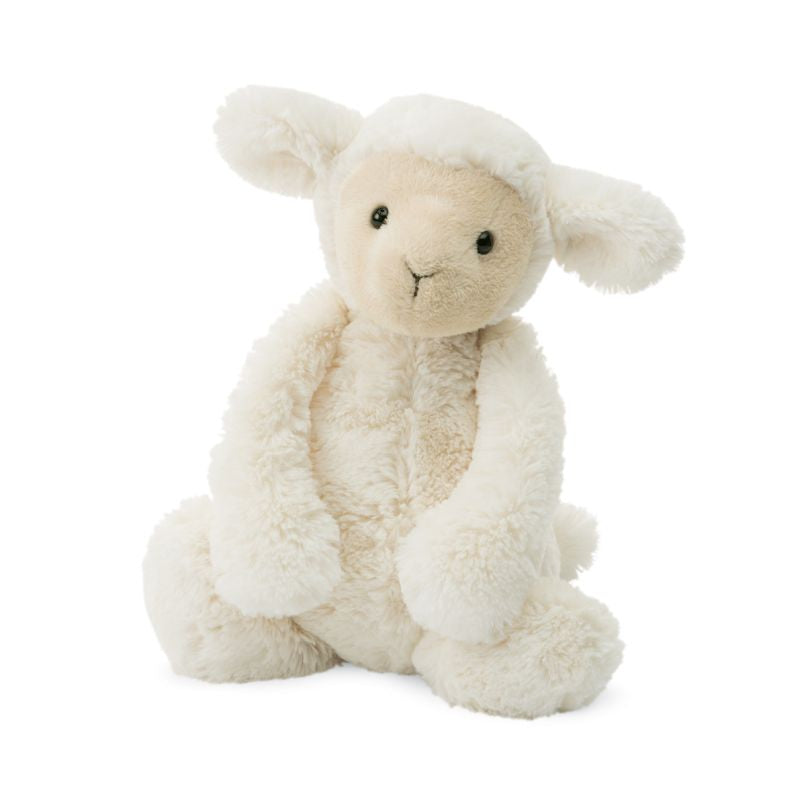 Bashful Lamb