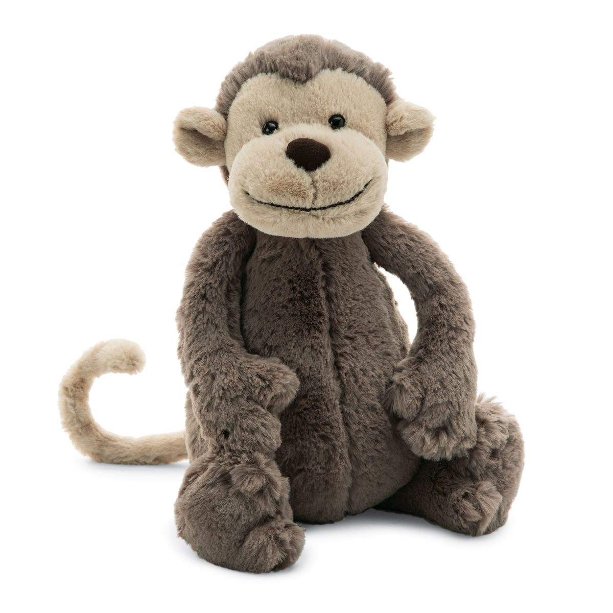 Bashful Monkey little