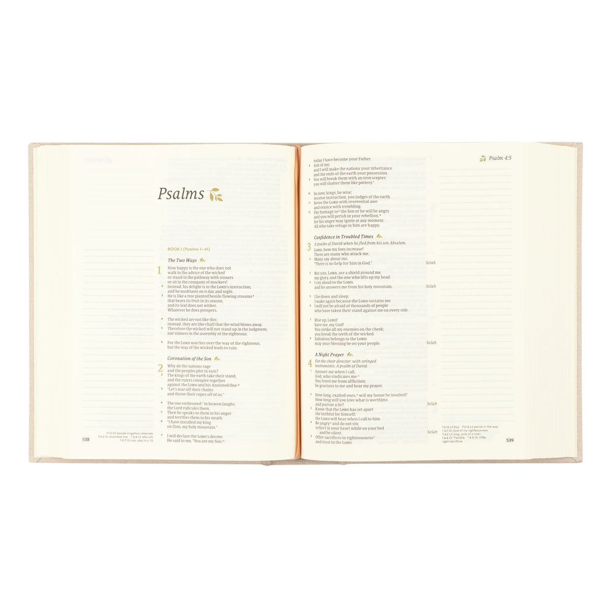 CSB Notetaking Bible: Oxford Theme