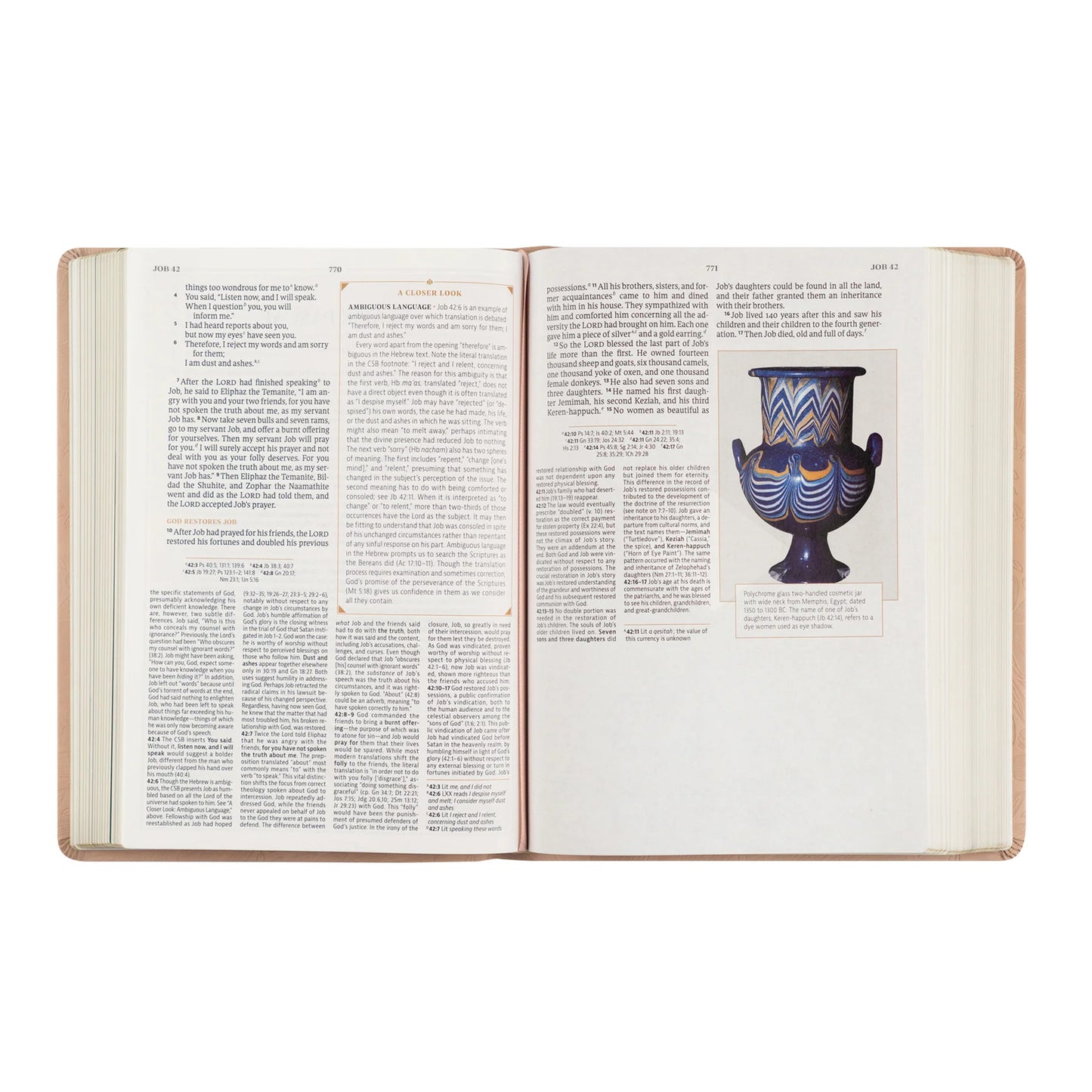 CSB Women's Study Bible: Sonora Theme
