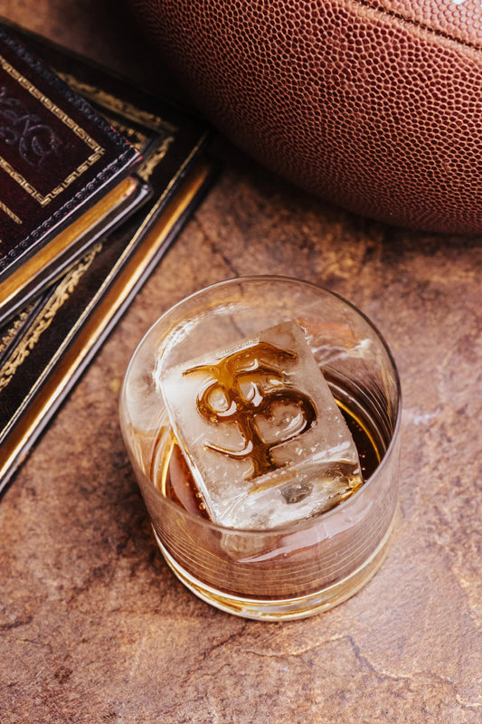 Large Florida State University Ice Mold