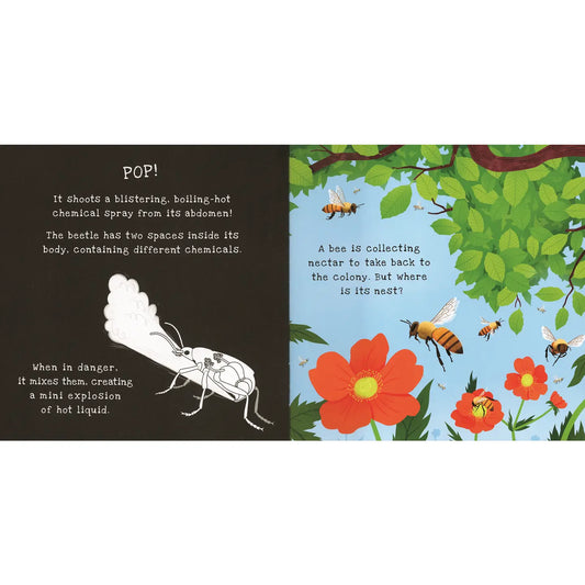Shine-A-Light, Backyard Bugs Book