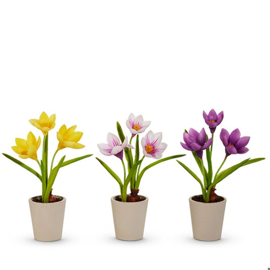 Real Touch Potted Crocus Bulb