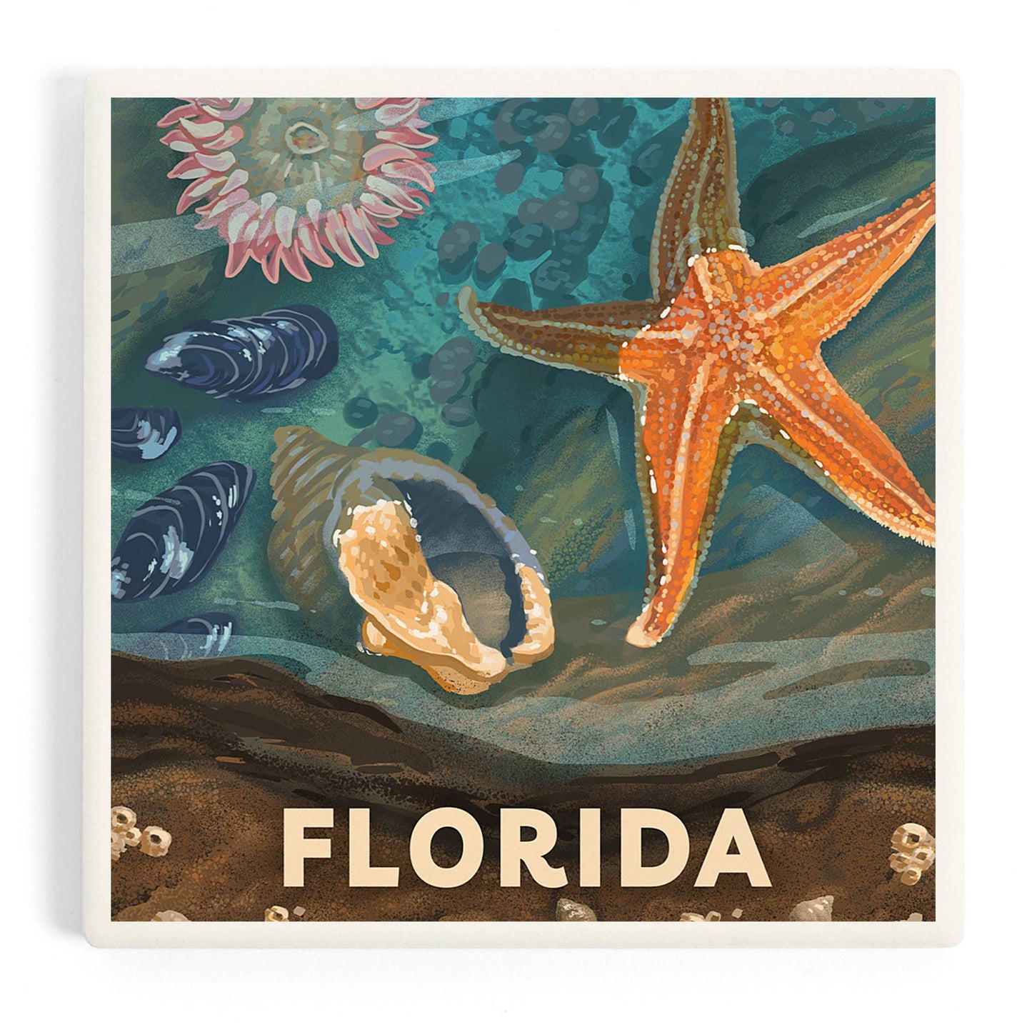 CERAMIC COASTER Florida, Painterly, Starfish & Shells