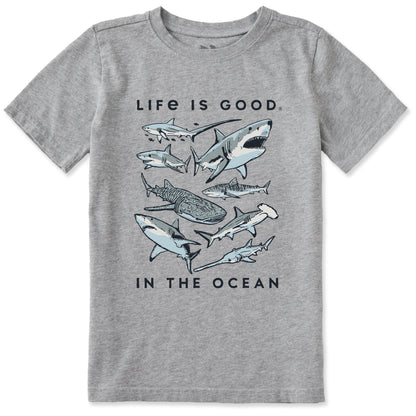 Life is Good Kids' In the Ocean Crusher Tee Heather Gray