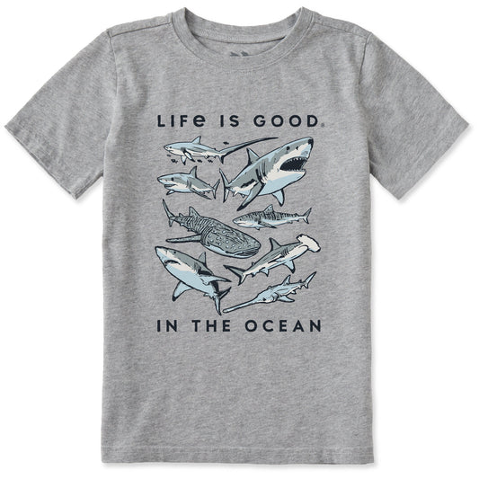 Life is Good Kids' In the Ocean Crusher Tee Heather Gray