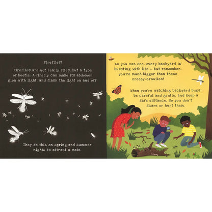 Shine-A-Light, Backyard Bugs Book
