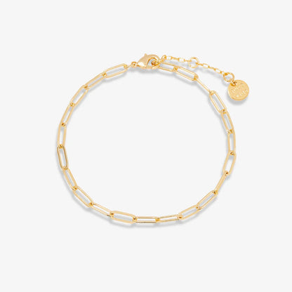 Harper Paperclip Chain Braclet