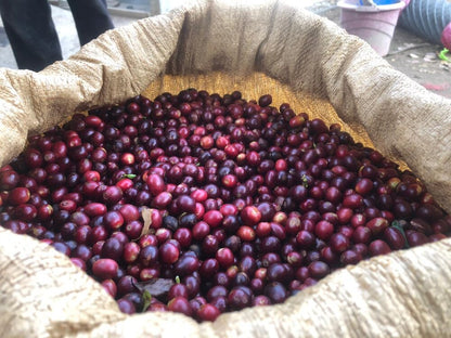 POAQUIL NATURAL | GUATEMALA