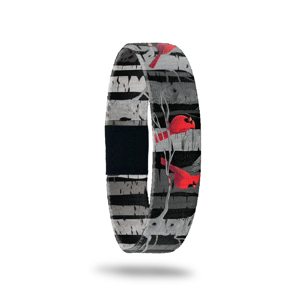 ZOX - Interactive Bracelets