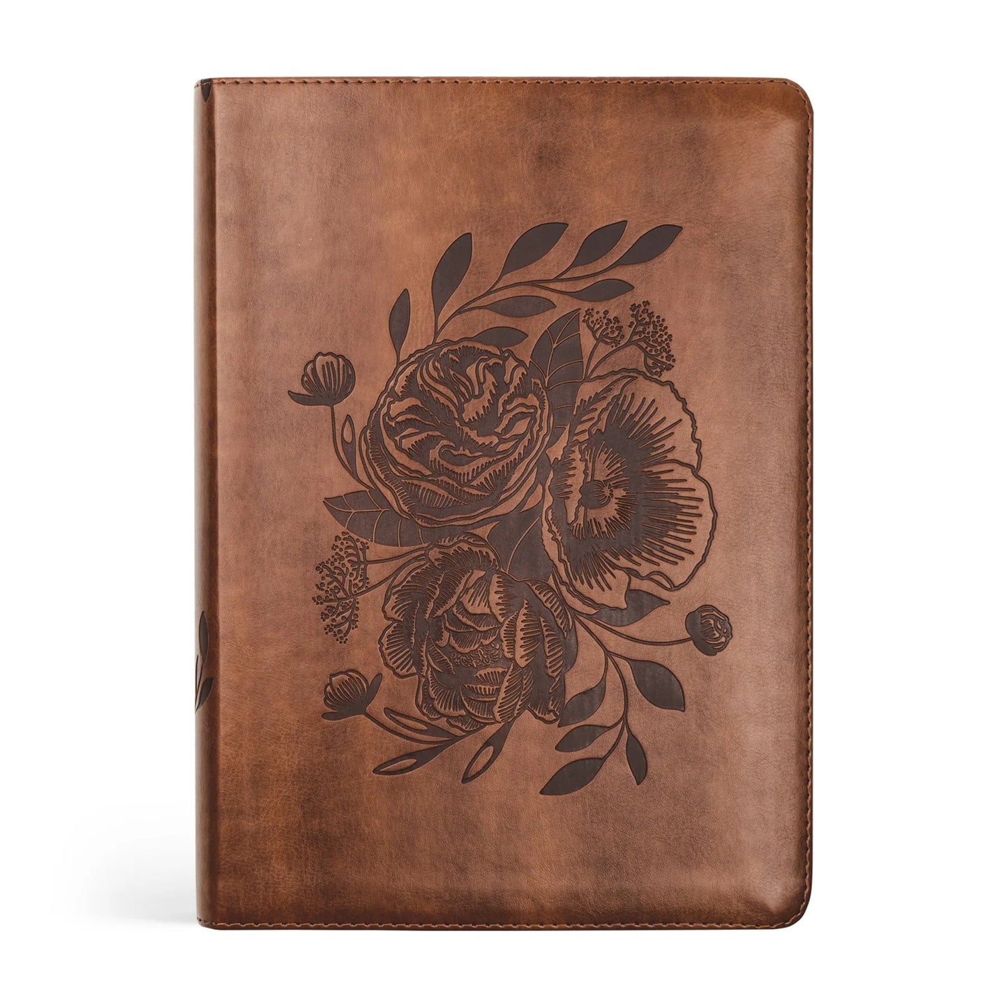 ESV STUDY BIBLE : AURORA THEME