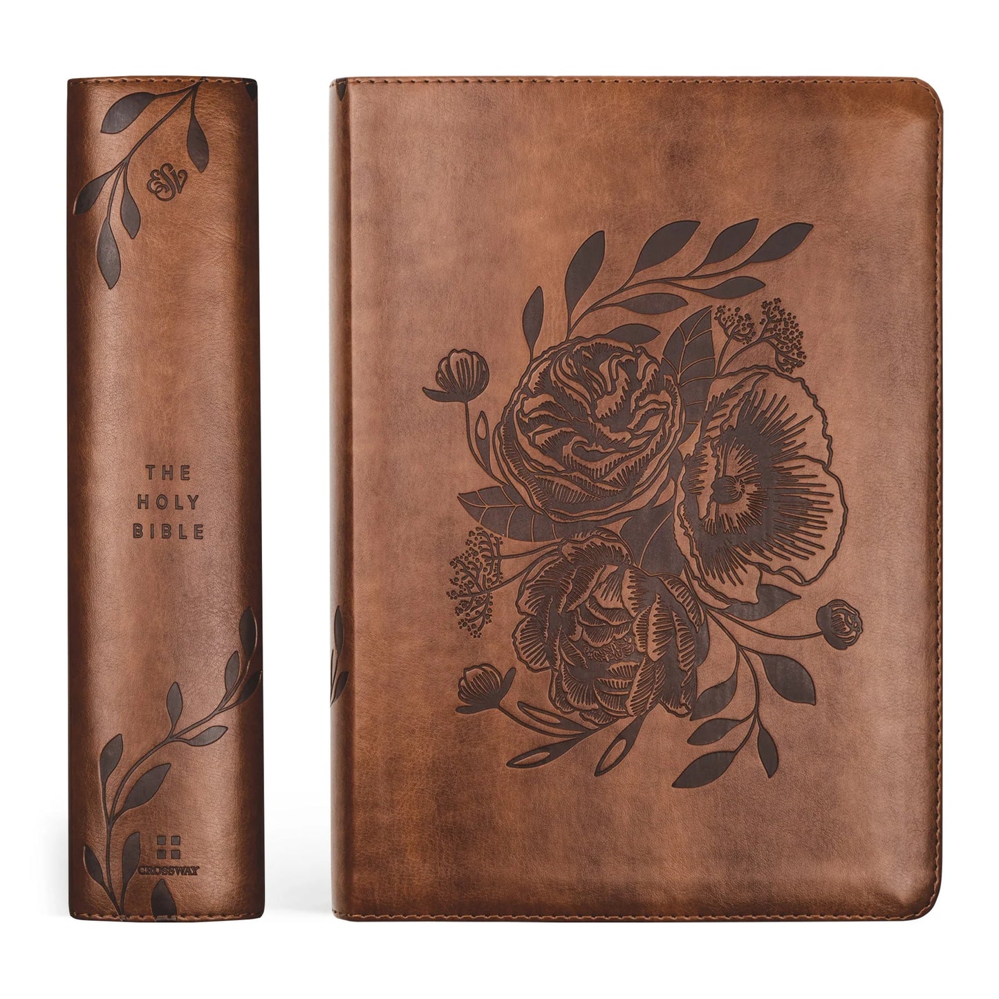 ESV STUDY BIBLE : AURORA THEME