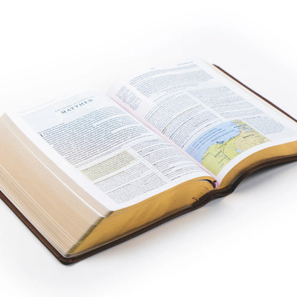 ESV STUDY BIBLE : AURORA THEME