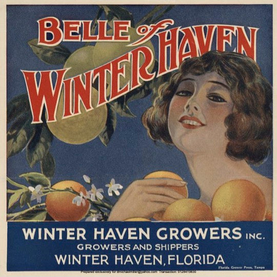 Polk County Citrus Label