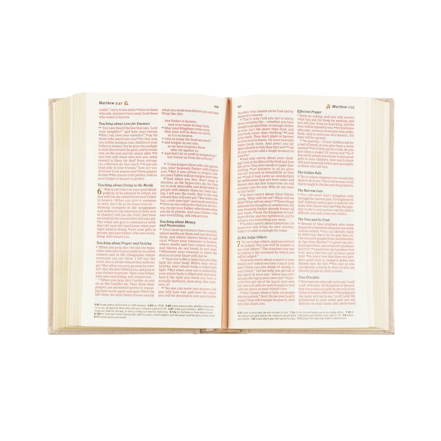 NLT Compact Bible: Casablanca Theme