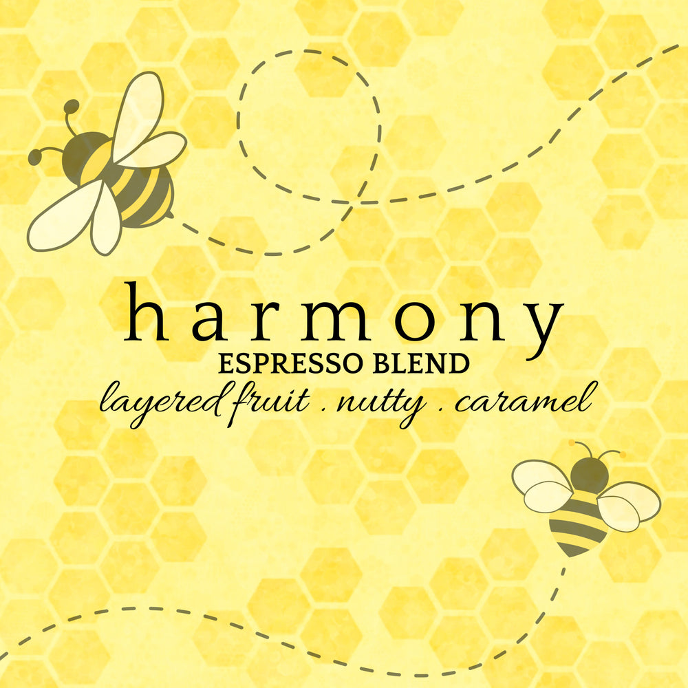 HARMONY | Modern Espresso Blend