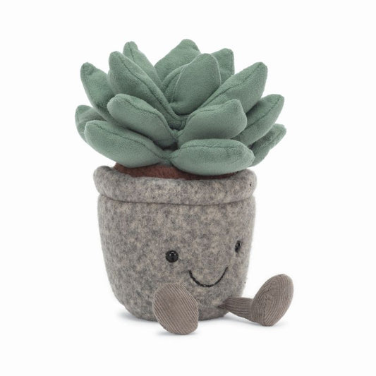 Silly Succulent Azulita