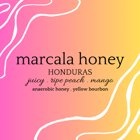 M A R C A L A | ANAEROBIC HONEY | HONDURAS | LIMITED EDITION