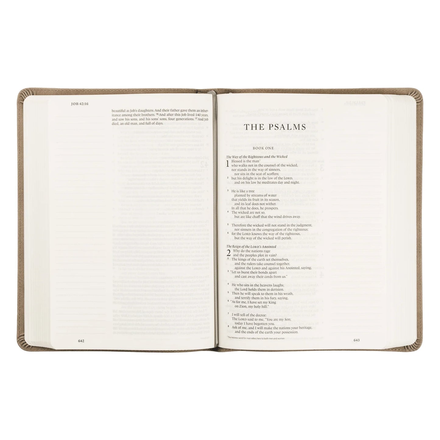 ESV Large Print Journaling Bible: Nara