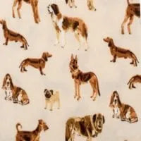 Natural Dog Organic Cotton Baby Jogger Pants