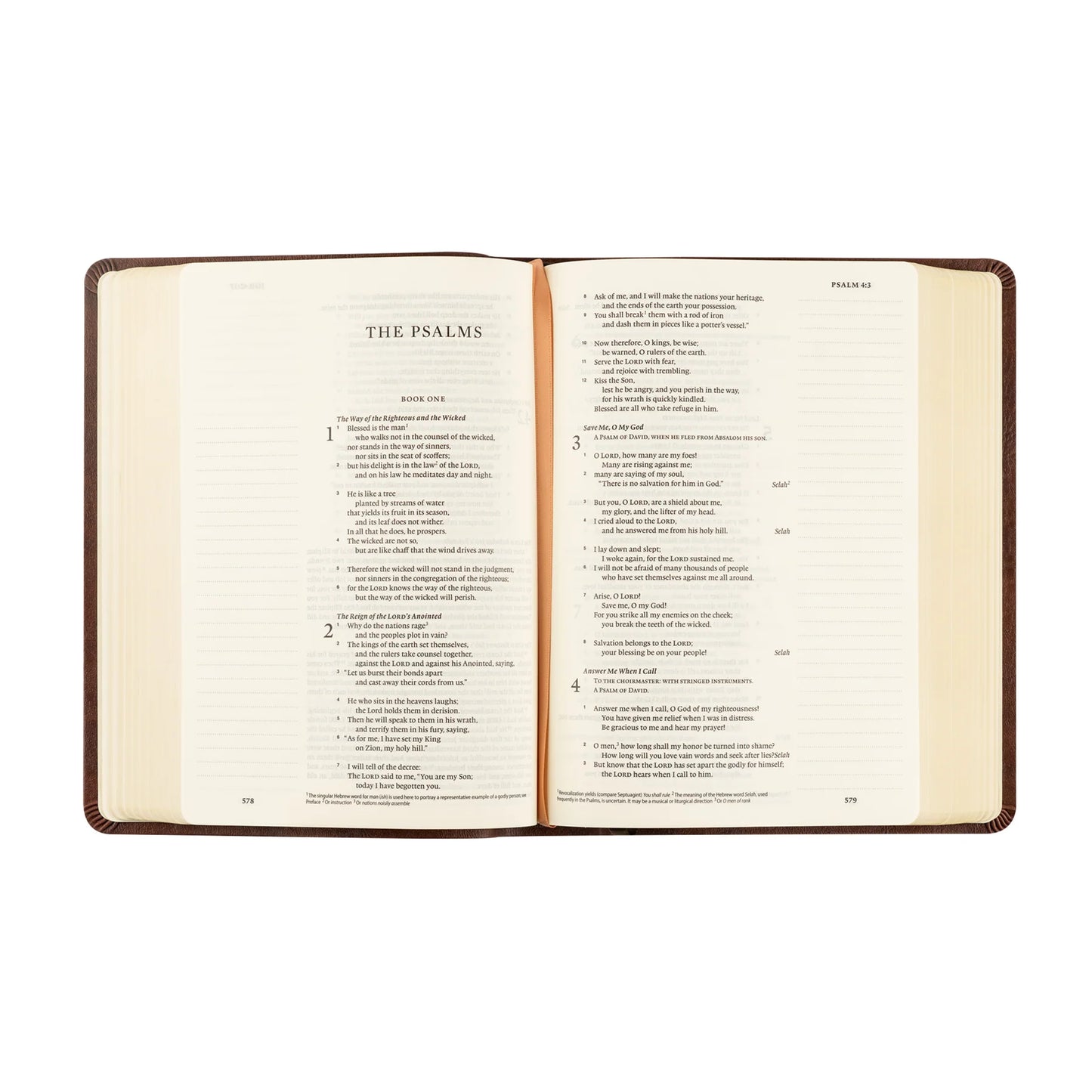 ESV Journaling Bible: Palma Theme
