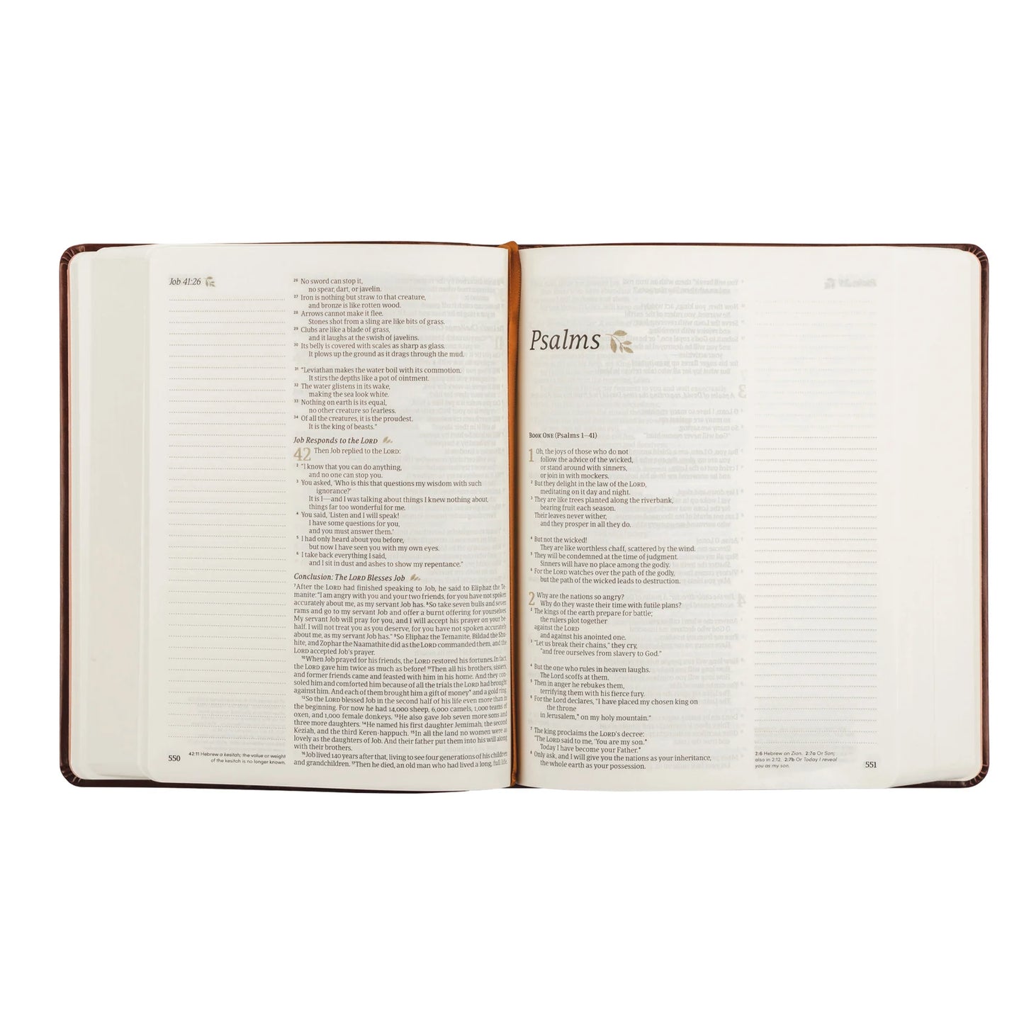 NLT NOTETAKING BIBLE : SANTA ELENA THEME
