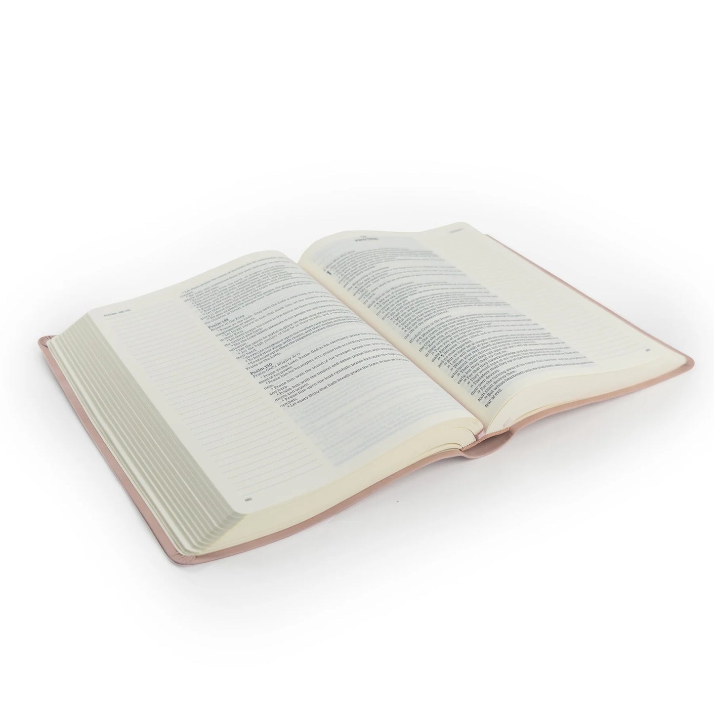 KJV LARGE PRINT NOTETAKING BIBLE: SHILOH THEME