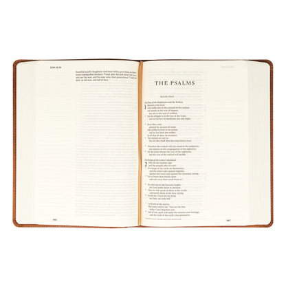 ESV Large Print Journaling Bible: Sierra