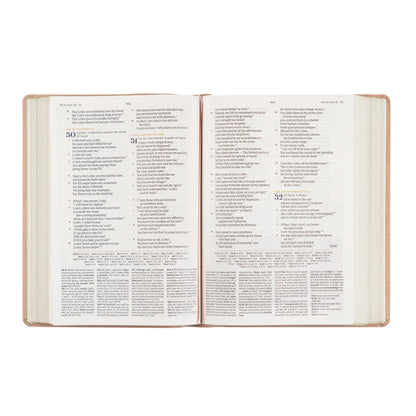 CSB Women's Study Bible: Sonora Theme