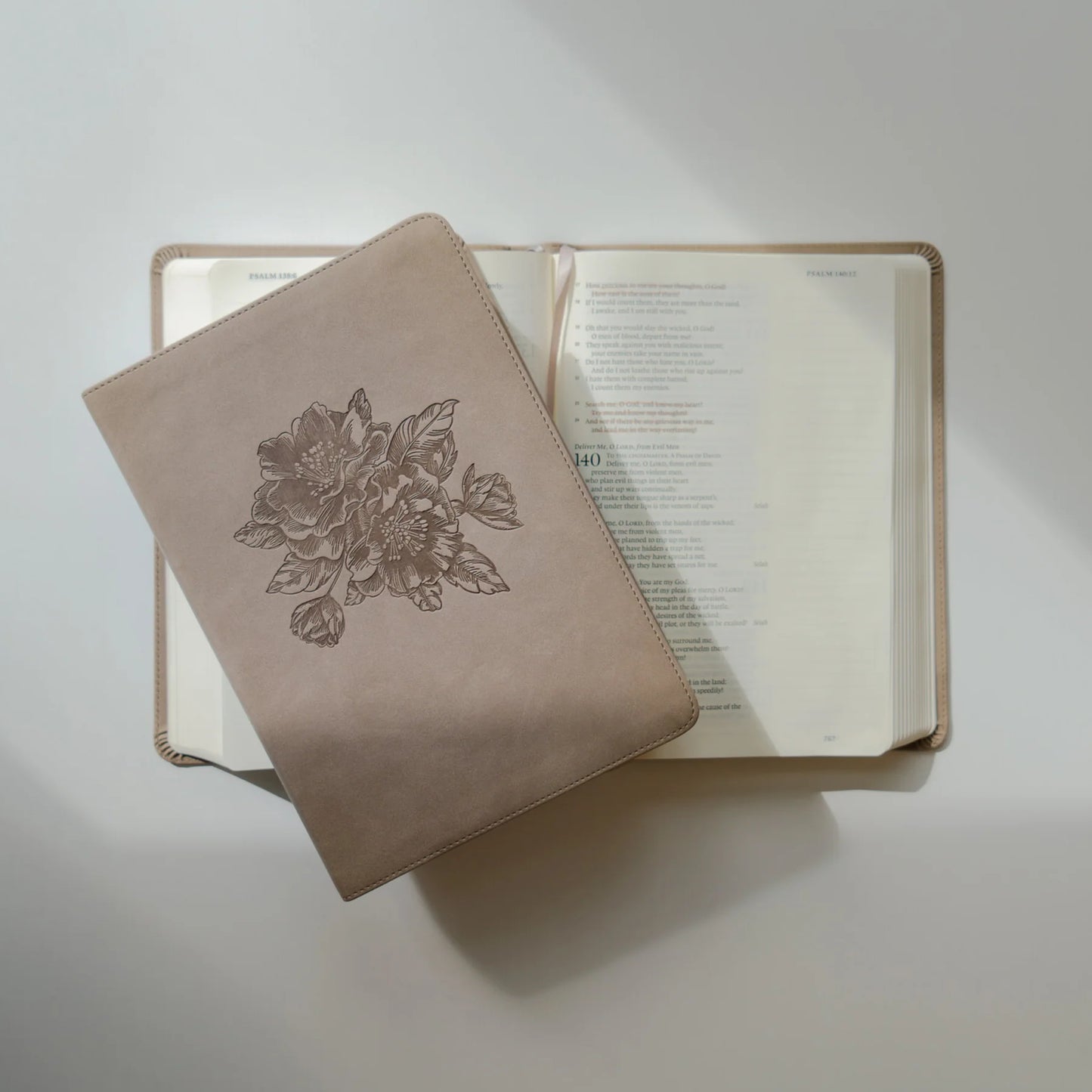 ESV Large Print Journaling Bible: Nara