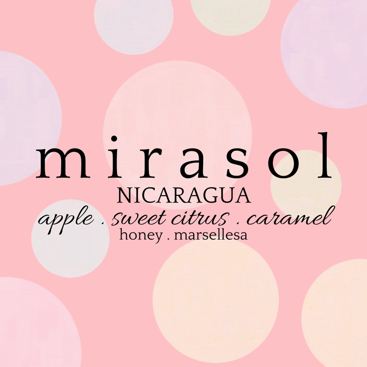MIRASOL HONEY | NICARAGUA | LIMITED EDITION 8OZ
