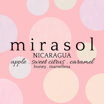 MIRASOL HONEY | NICARAGUA | LIMITED EDITION 160z