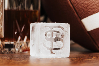 Large Florida State University Ice Mold