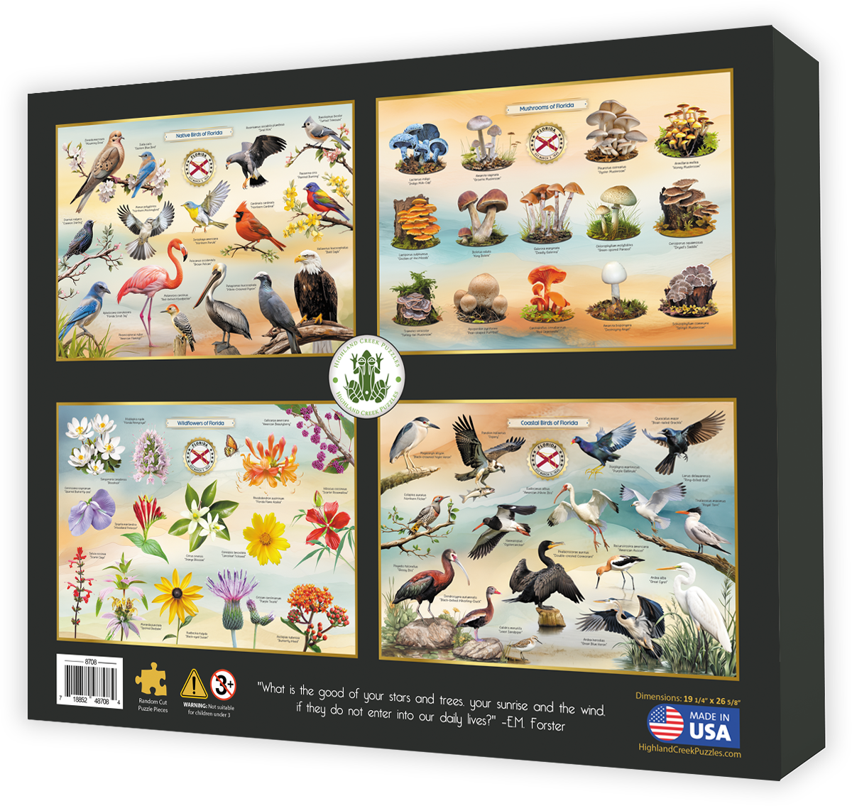 Aquatic Life of Florida jigsaw puzzle box back