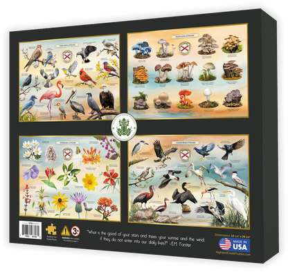 Aquatic Life of Florida jigsaw puzzle box back