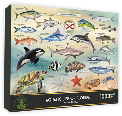 Aquatic Life of Florida 1000-piece jigsaw puzzle box front