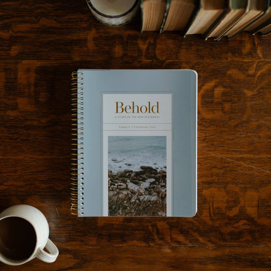 Behold | Volume 3 Spiral Bible Study
