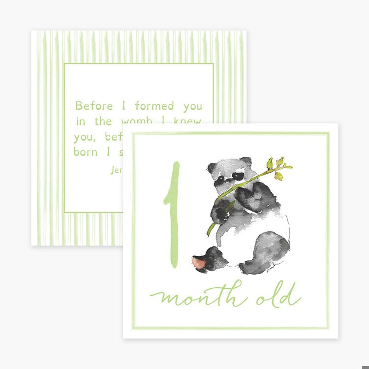 ANNE NEILSON HOME Milestone Cards