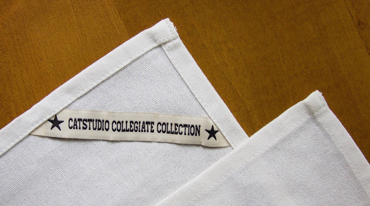 Florida State University Collegiate Dish Towel
