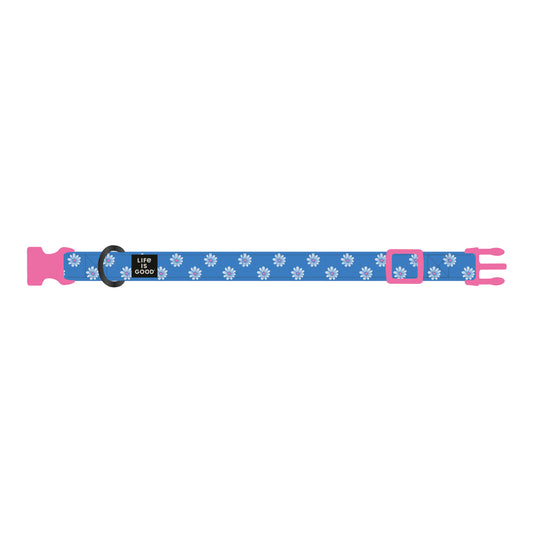 All Over Daisy Dog Collar