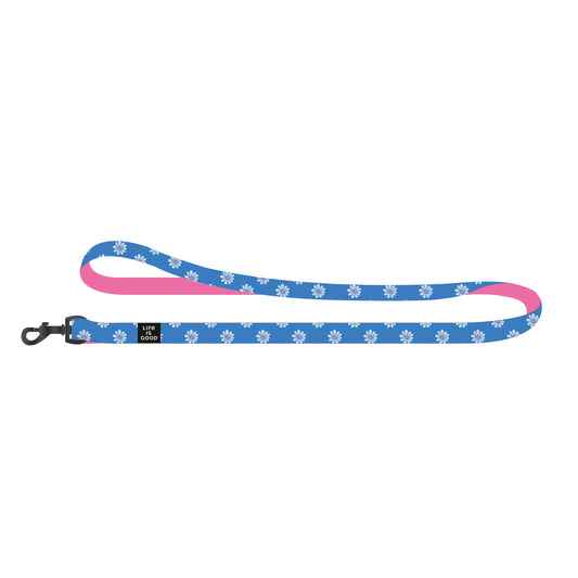 All Over Daisy Dog Leash