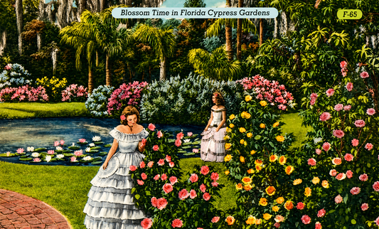 8x10 Post card Photo Print