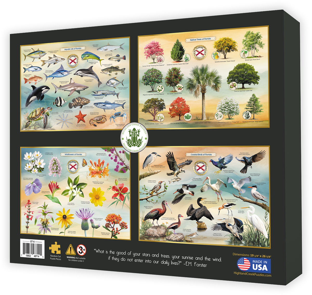 Lighthouses of Florida jigsaw puzzle box back