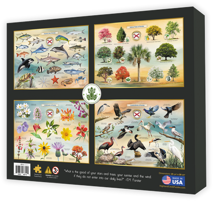 Lighthouses of Florida jigsaw puzzle box back
