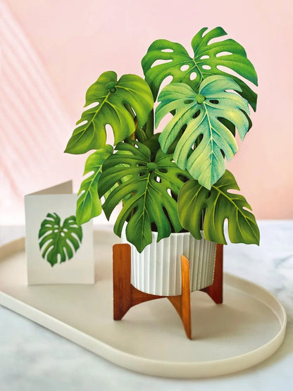 Fresh Cut Paper Gift Card