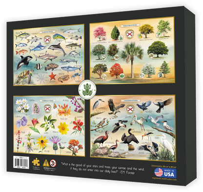 Mushrooms of Florida jigsaw puzzle box back