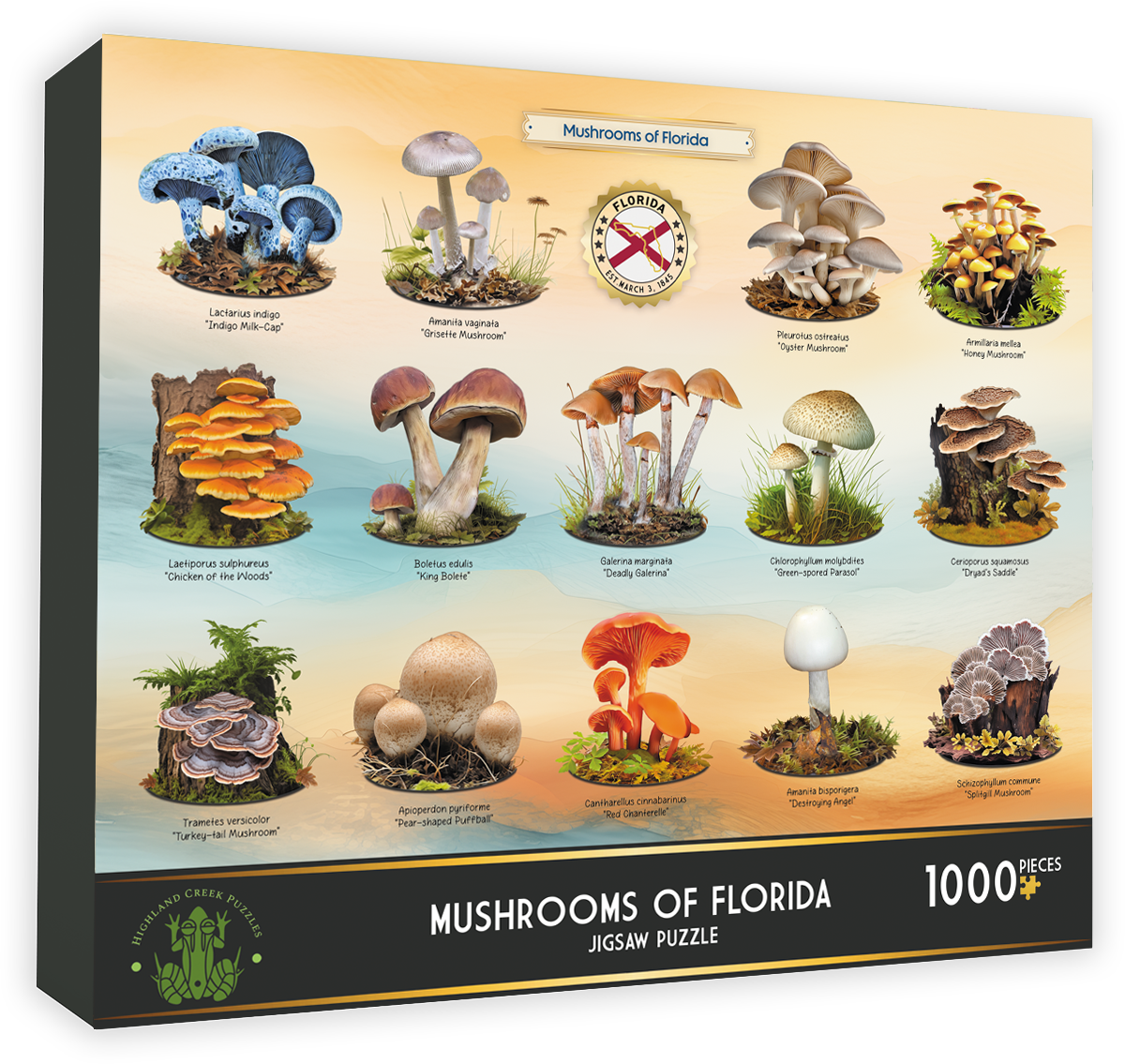 Mushrooms of Florida 1000-piece jigsaw puzzle box front